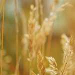 tatie danielle la rencontre