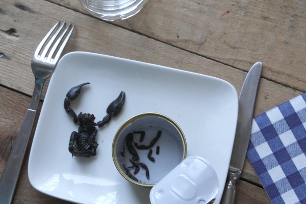 scorpion-a-manger3