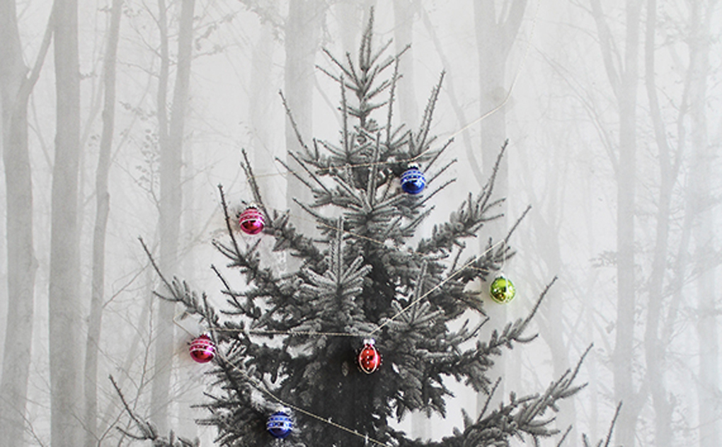 Des sapins de noël alternatifs – Deedee Des sapins de noël alternatifs – Deedee