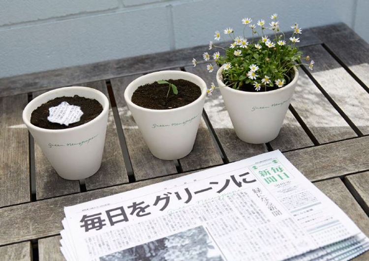 Mainichi-journal-japonais-plante_6